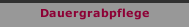 Dauergrabpflege